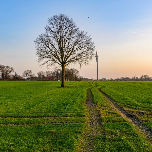 renewable energy farmland UK